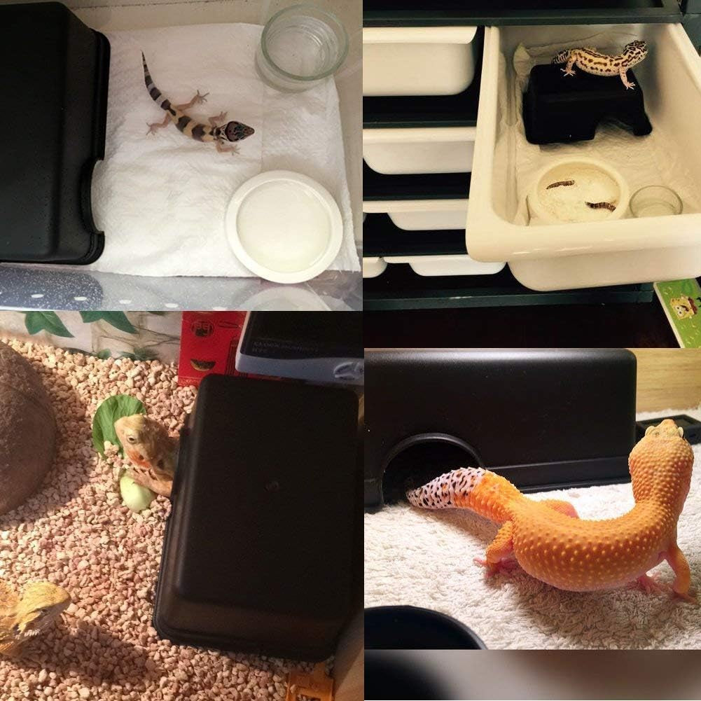 Reptile Hideout Box Small Animal Hide Cave for Snakes Lizards Leopard Gecko Rodents Spiders