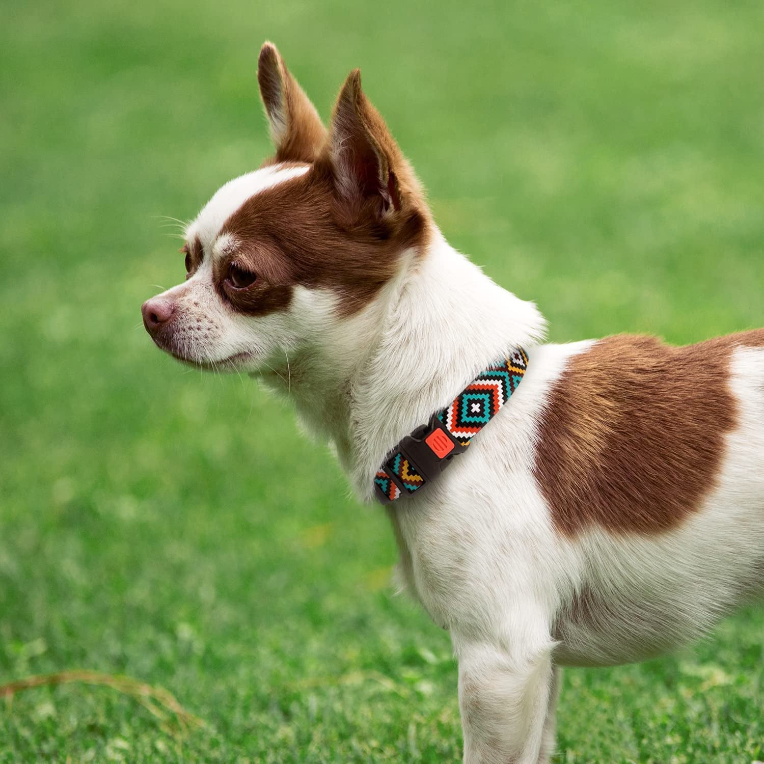 Aztec Dog Collar Adjustable Nylon Tribal Pattern Geometric Pet Collars for Dogs Small Medium Large Puppy